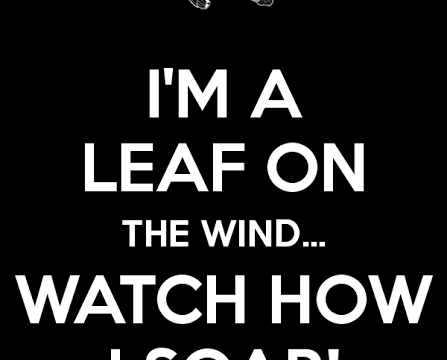 leaf on the wind impaled meme